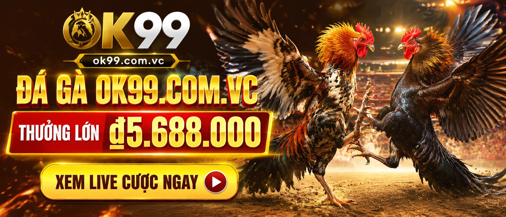 Khu Đá Gà cựa sắt và cựa dao trên nền giao diện tối